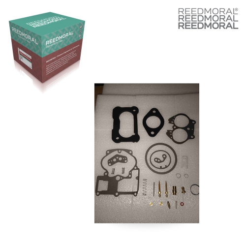 XLH229 REEDMORAL Carburetor Repair Kit 10437-5315 main view