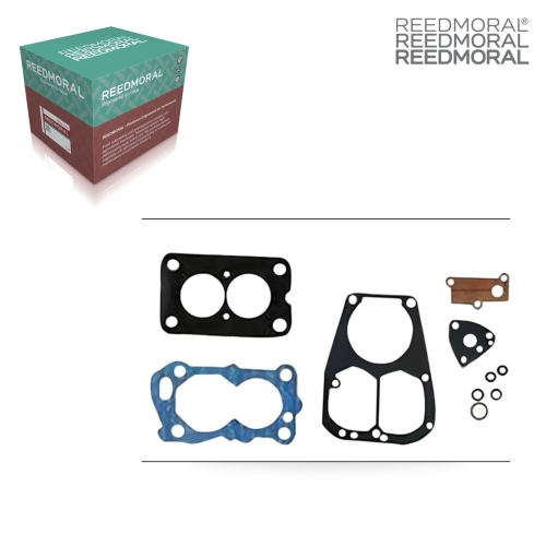 XLH290B REEDMORAL Carburetor Repair Kit MD617930 main view
