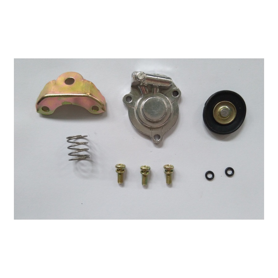 ARK055 REEDMORAL carburetor acceleration pump 026 129 450A components