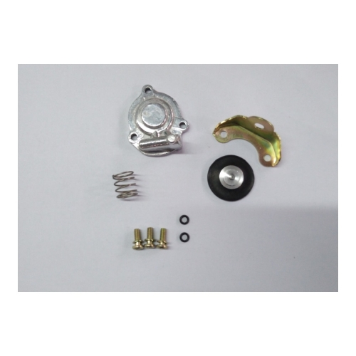 ARK103 REEDMORAL carburetor pump kit 026 129 450A 1GS 129 654 A components