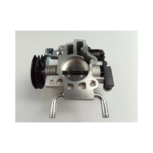J1413A REEDMORAL mechanical throttle body 25182959 front valve view