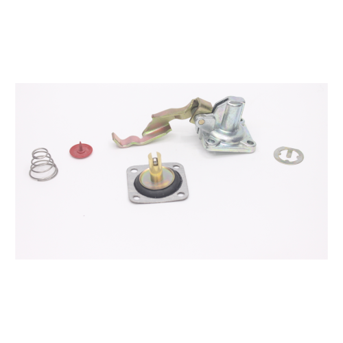 JSBG005 REEDMORAL carburetor accelerator pump 115940400
