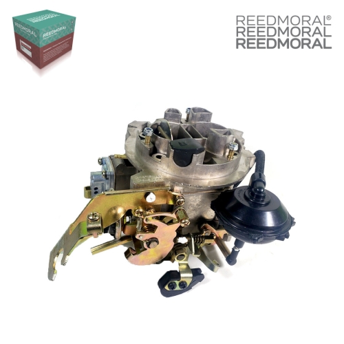 LDH219C REEDMORAL Carburetor Assembly 495021, 495.021 main view