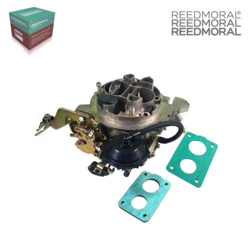 LDH219C REEDMORAL Carburetor Assembly 495021, 495.021 detail view 2