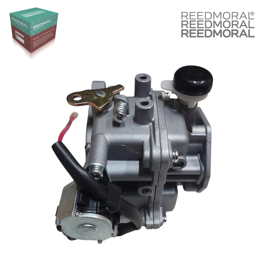 LDH886 REEDMORAL Carburetor Assembly 24 853 32-S detail view 5
