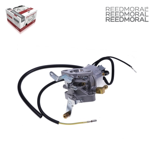 LDH895 REEDMORAL Carburetor Assembly 12691-44010 main view