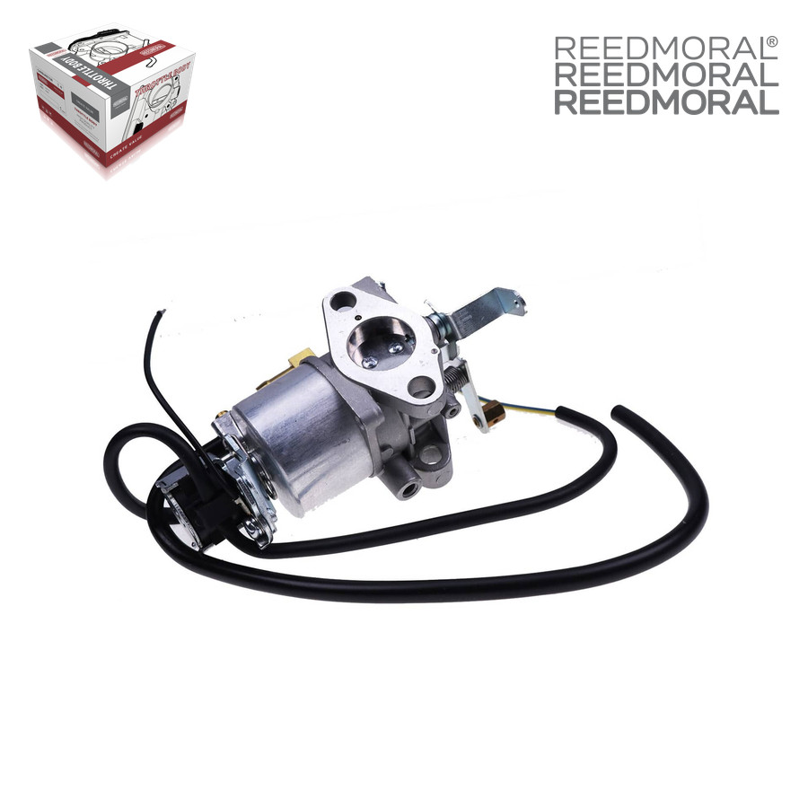 LDH895 REEDMORAL Carburetor Assembly 12691-44010 detail view 4